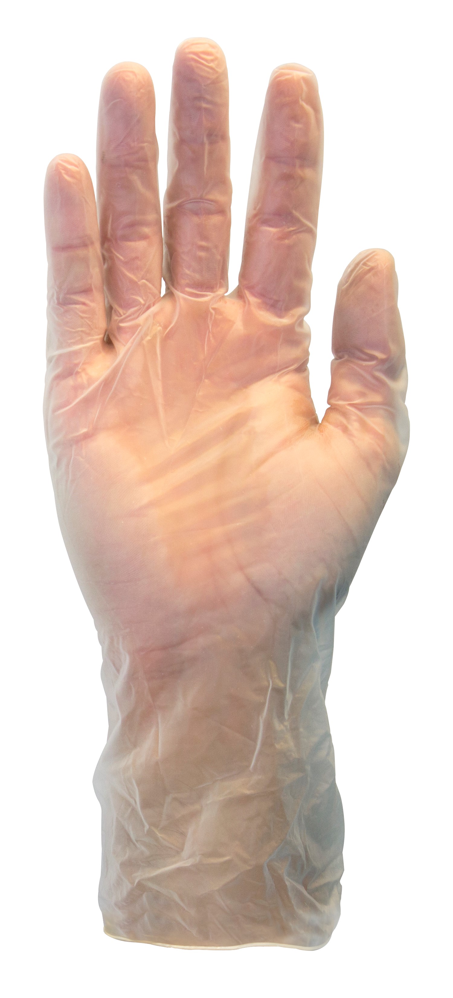 SZ MEDIUM POWDER-FREE VINYL GLOVES (1000/CS)